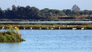 Huelva Ruta Colombina y Algarve