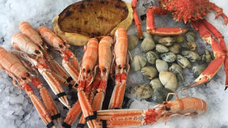 Mariscada en casa para 2 personas